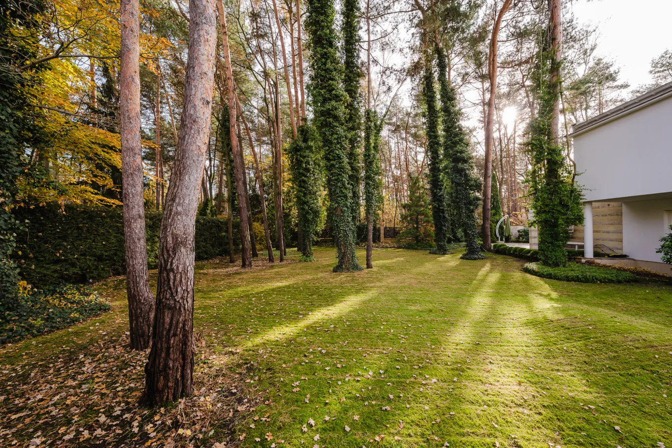 Modernist residence | 450 m²